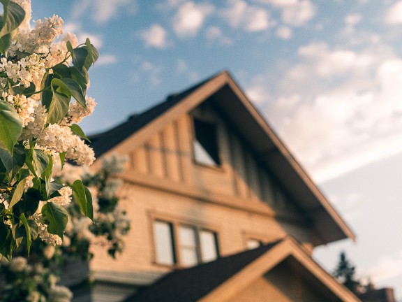 White flowers in the foreground, with a blurry picture of a house in the background